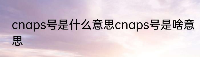 cnaps号是什么意思cnaps号是啥意思