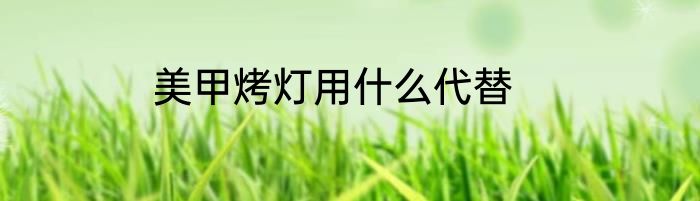 美甲烤灯用什么代替