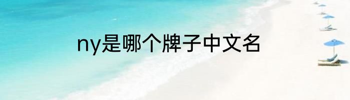 ny是哪个牌子中文名
