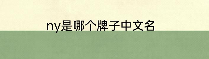 ny是哪个牌子中文名