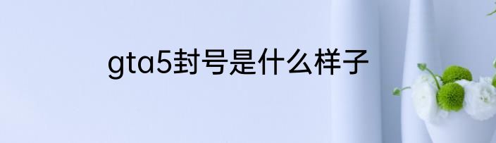 gta5封号是什么样子