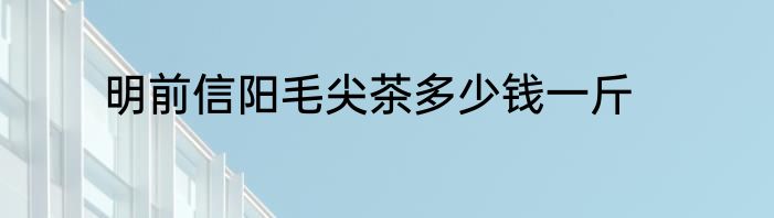 明前信阳毛尖茶多少钱一斤