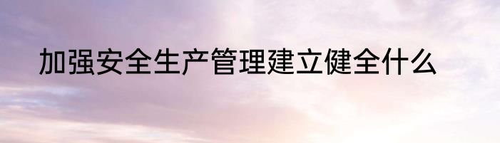 加强安全生产管理建立健全什么