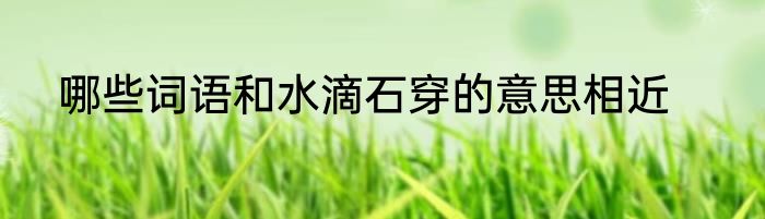 哪些词语和水滴石穿的意思相近