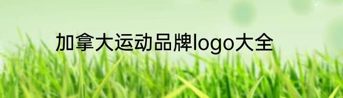 加拿大运动品牌logo大全