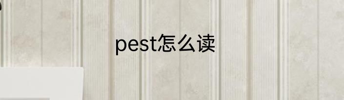 pest怎么读