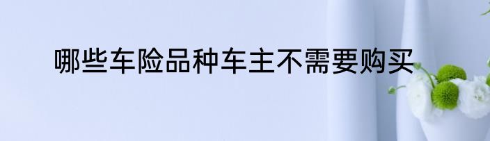 哪些车险品种车主不需要购买