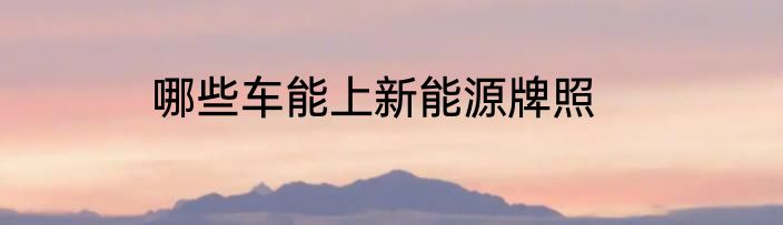 哪些车能上新能源牌照
