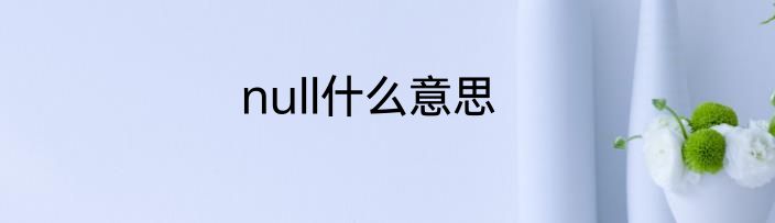 null什么意思