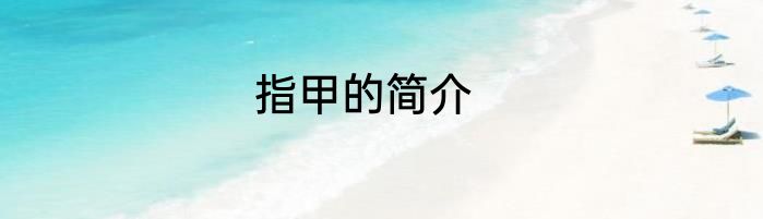 指甲的简介