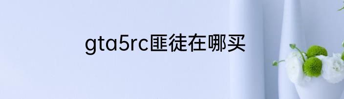 gta5rc匪徒在哪买