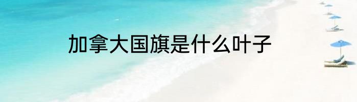 加拿大国旗是什么叶子