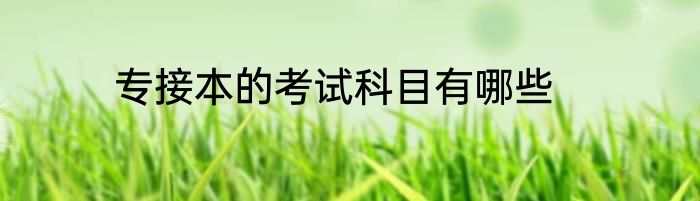 专接本的考试科目有哪些