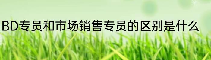 BD专员和市场销售专员的区别是什么