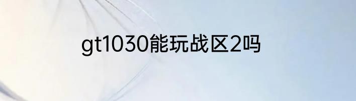 gt1030能玩战区2吗