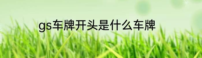 gs车牌开头是什么车牌