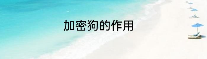 加密狗的作用