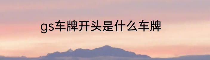gs车牌开头是什么车牌