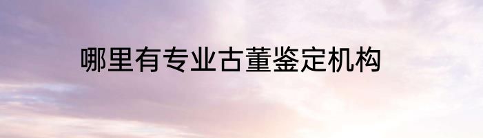 哪里有专业古董鉴定机构