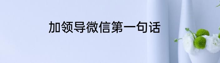 加领导微信第一句话
