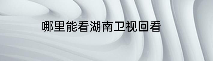 哪里能看湖南卫视回看