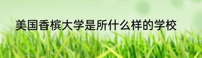 美国香槟大学是所什么样的学校