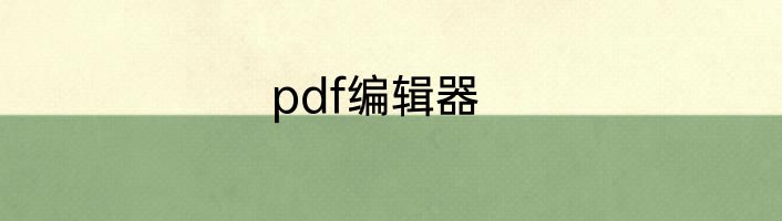 pdf编辑器