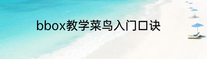 bbox教学菜鸟入门口诀