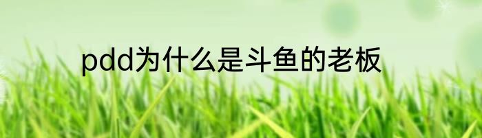 pdd为什么是斗鱼的老板