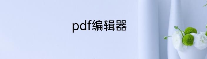pdf编辑器