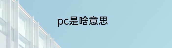 pc是啥意思