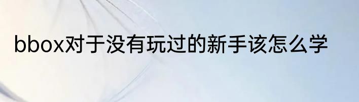 bbox对于没有玩过的新手该怎么学