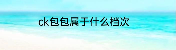 ck包包属于什么档次