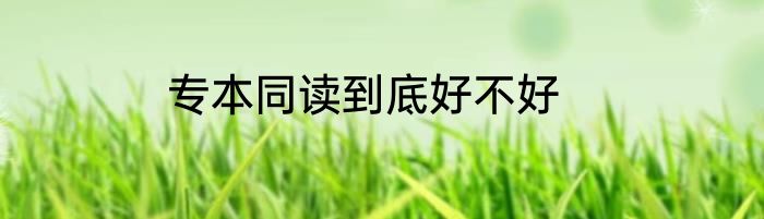 专本同读到底好不好