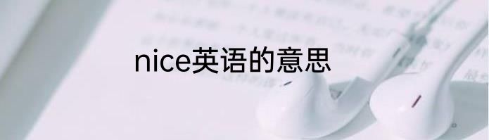nice英语的意思