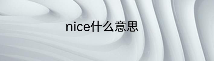 nice什么意思