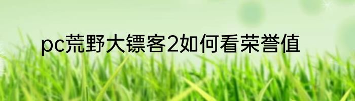 pc荒野大镖客2如何看荣誉值