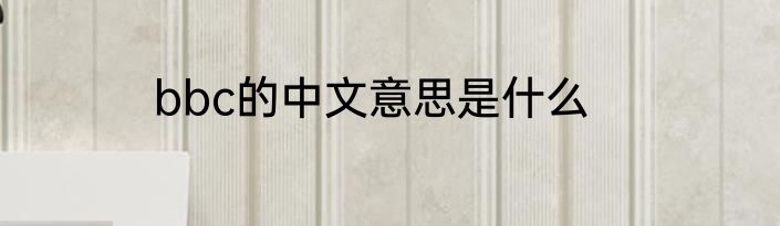 bbc的中文意思是什么