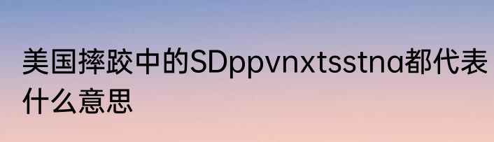 美国摔跤中的SDppvnxtsstna都代表什么意思