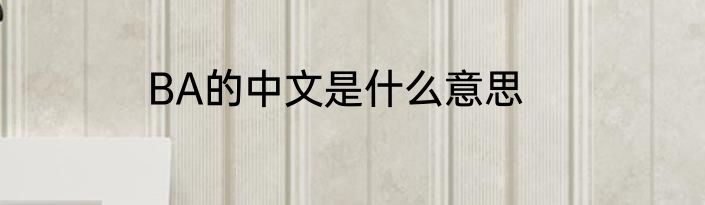 BA的中文是什么意思