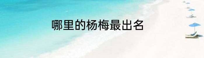 哪里的杨梅最出名