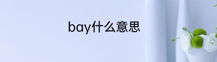 bay什么意思
