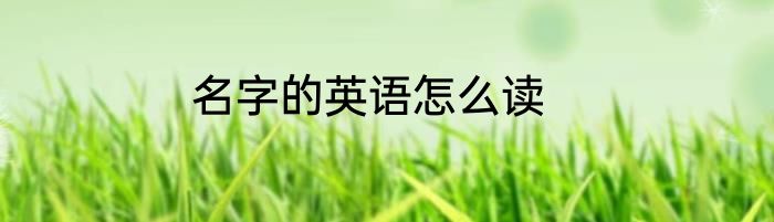 名字的英语怎么读