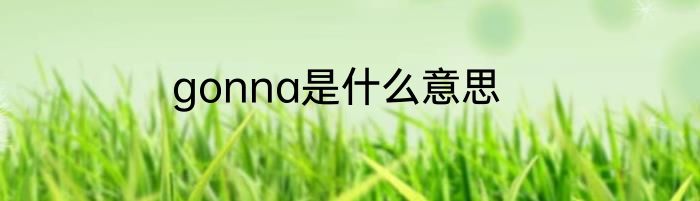 gonna是什么意思