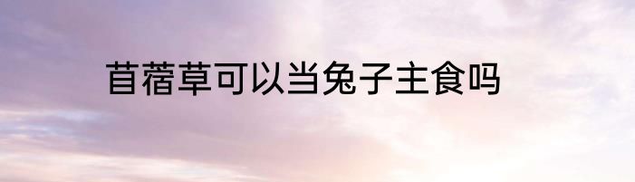 苜蓿草可以当兔子主食吗