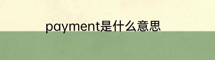 payment是什么意思