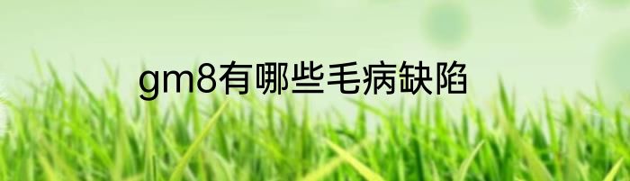 gm8有哪些毛病缺陷