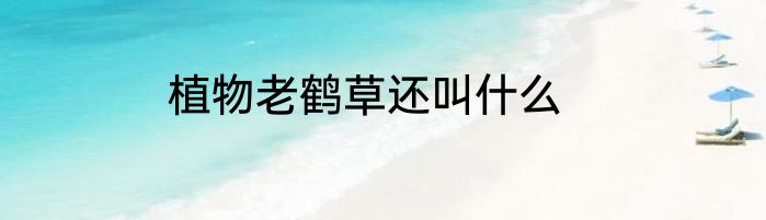 植物老鹤草还叫什么