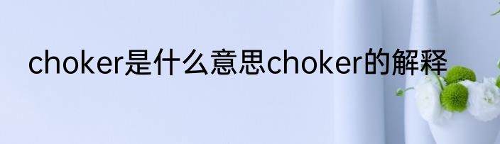 choker是什么意思choker的解释