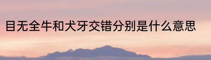 目无全牛和犬牙交错分别是什么意思